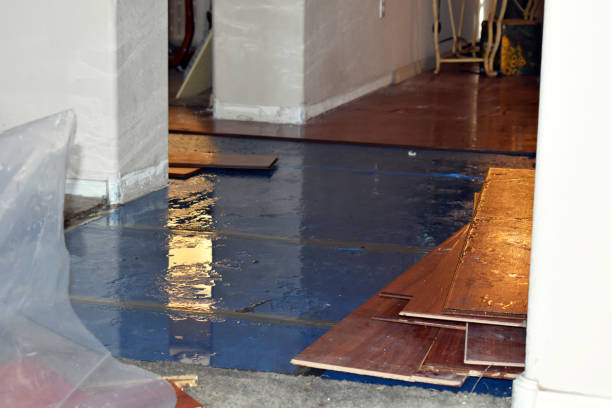 Professional Basement Flood Cleanup technician working in Saint Benedict, OR